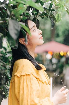 琥珀樱桃电视剧在线观看全集免费