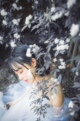 疯狂祖母免费观看高清版