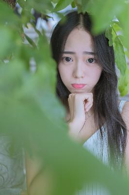 中文免费高清在线观看电视剧全集爱