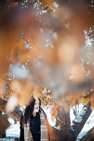 茶杯狐 CUPFOX 茶杯狐官方